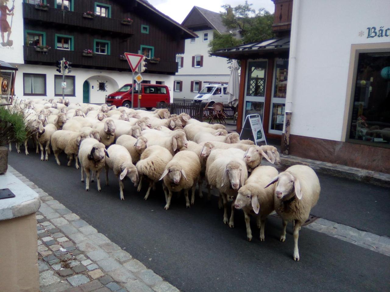 Landgasthof Kirchmayer Farchant Eksteriør billede